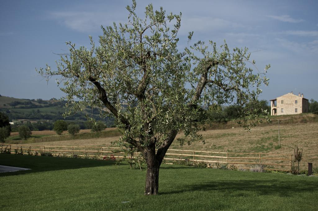 Moresco Agriturismo Экстерьер фото