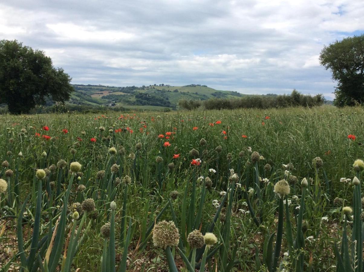 Moresco Agriturismo Экстерьер фото